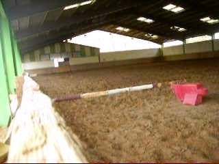 Pancho saut en longe nikel