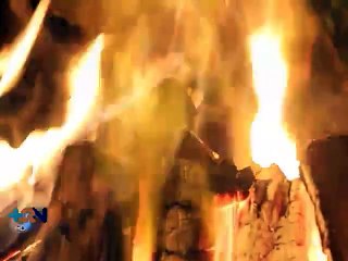 Creadores de “Dele Viaje” salen adelante en busca de sus sueños