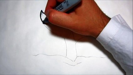 How To Draw A Whales Tail