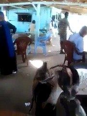 Goat is having soft drink