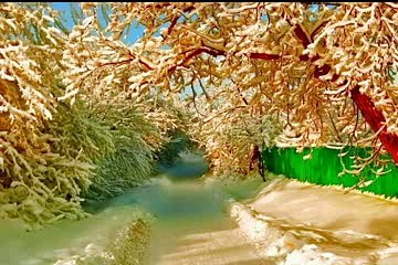 Ek Zamindar ki qabar bichu se bari thi by Maulana Tariq Jameel