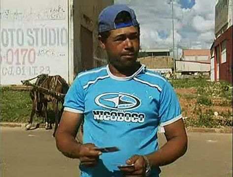 Animais soltos nas ruas