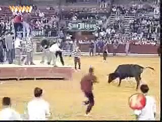 bull attacked and torned Clothes brutally