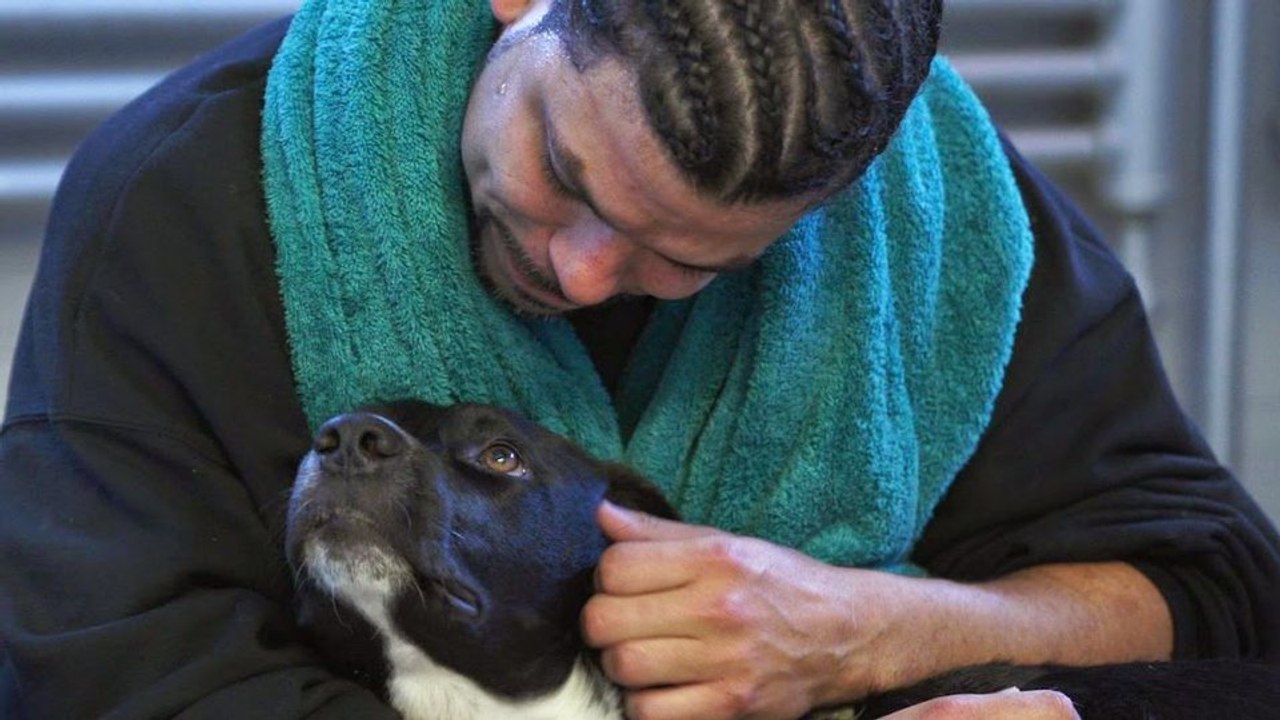 'Dogs on the Inside': Exclusive clip