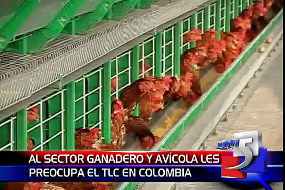 EL TLC EN MARCHA "Sectores Ganadero y Avícola".
