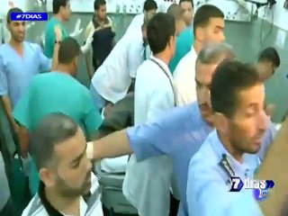 Los orígenes de una guerra sin fin (Segunda parte)