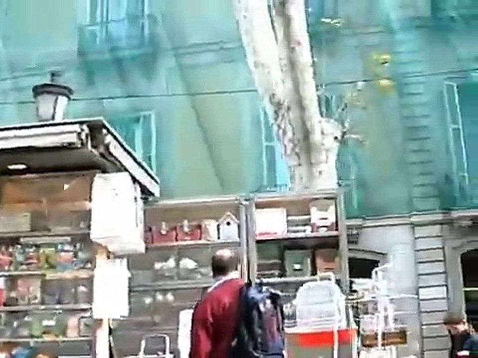 dan la ville de barcelona
