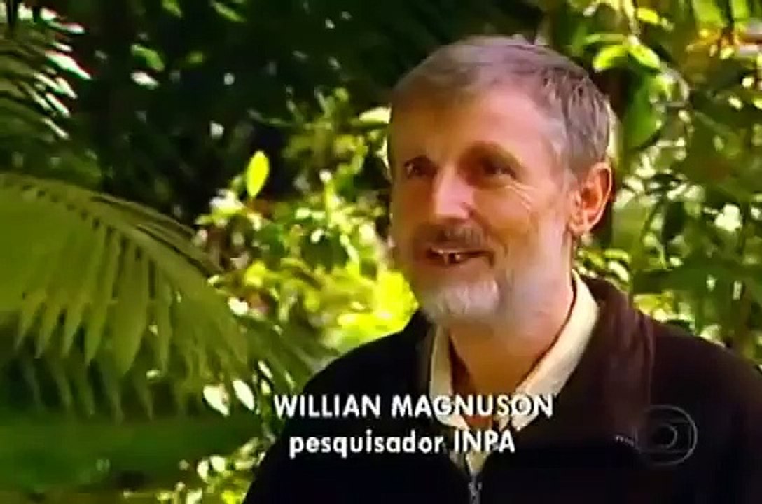 Amazônia Legal - Projeto Bioma