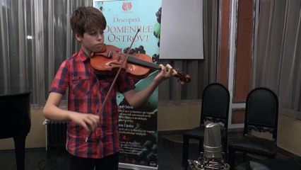 Visul unei nopți de vară. La țară. Partea a II-a