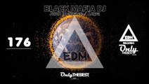 BLACK MAFIA DJ - JUNK IN SPACE / LUPA #176 EDM electronic dance music records 2015