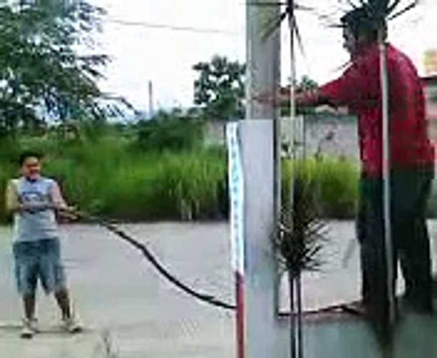 la caida de botarga
