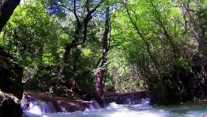 Leo Rojas - Flying Heart