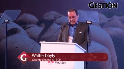Walter Bayly: Empresas deben hacer transformaciones culturales para aprovechar Alianza del Pacífico