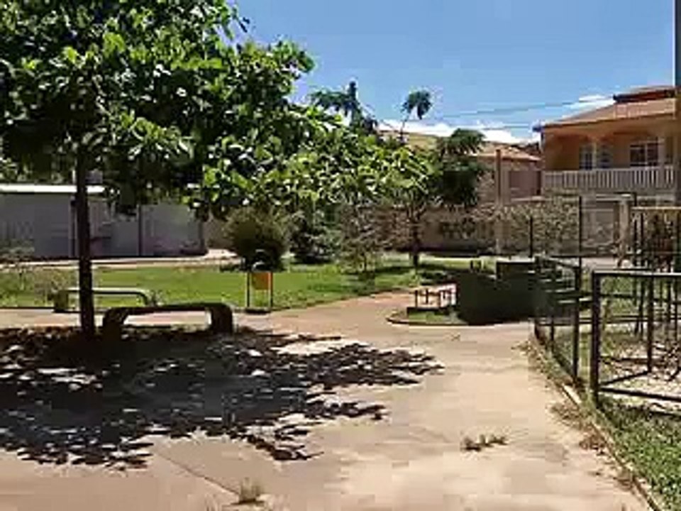 Jornal Local: Abandono bebe Taguatinga