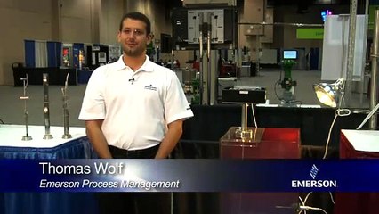 Rosemount Multipoint Thermocouple and RTD Profiling Sensors - Technology Demo