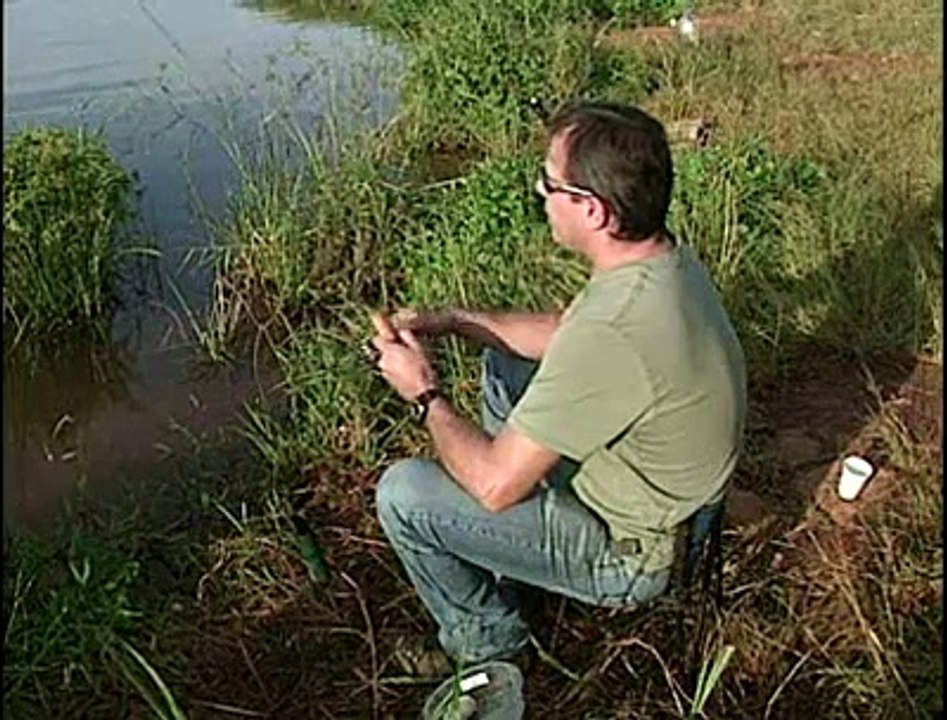 pesca paranoa