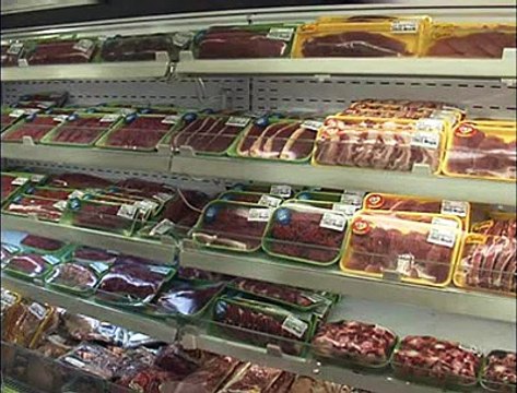 reunião gripe suína