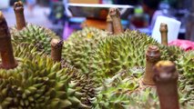 Smelly Fruit: What Does Durian Taste Like?