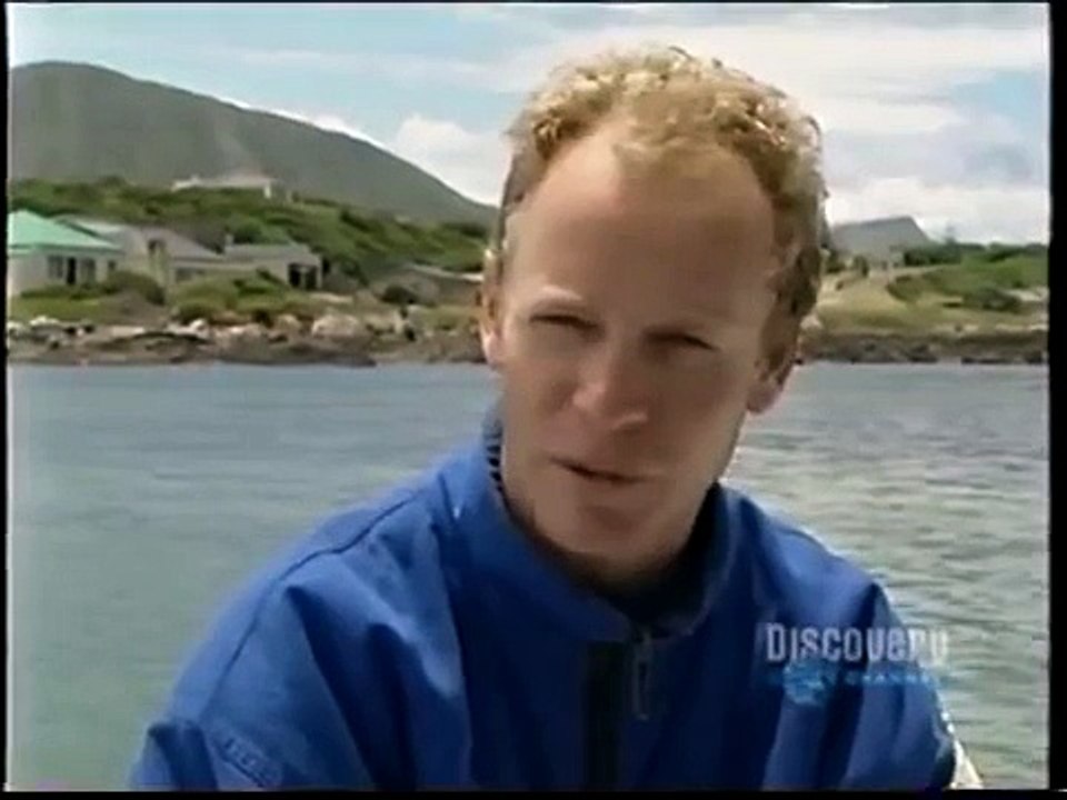 Gran tiburón blanco, tras los gigantes - great white shark, in search of the giants ( 4/5 )