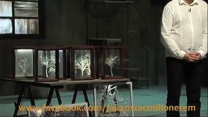 Dragons' Den - jak zostać milionerem. Oświetlenie jako dzieła sztuki