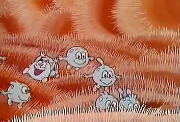 once upon a time... life