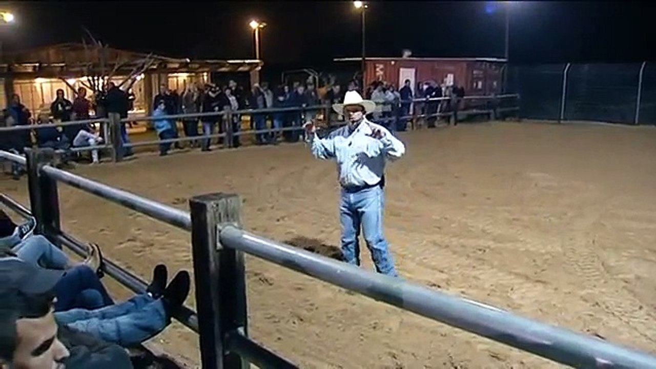 אמיר שלו אילוף סוס שפוחד מבובקט