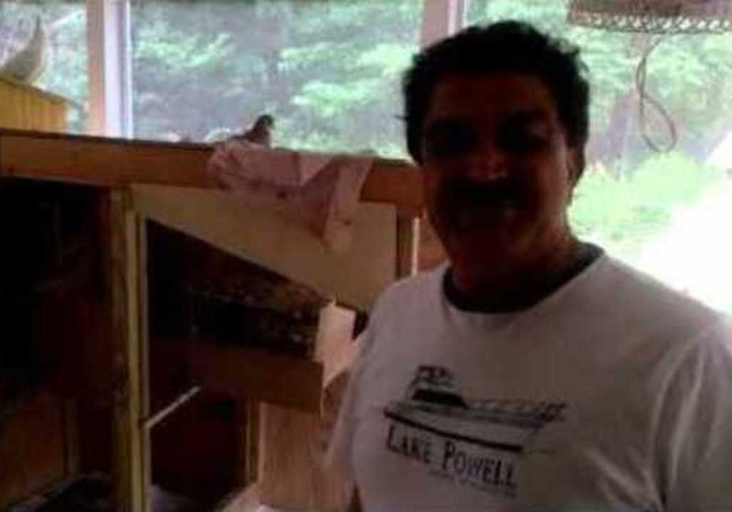 Dad Proudly Introduces His Pigeons