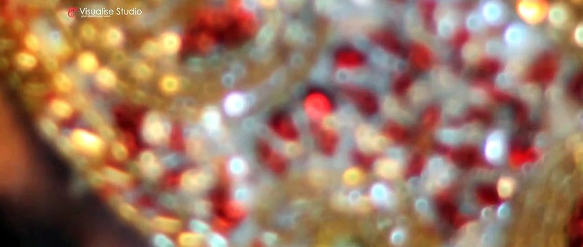 Shahedur | Asian Mendhi Video | Muslim Wedding Video | Bengali Pakistani Indian Sikh Hindi Hindu