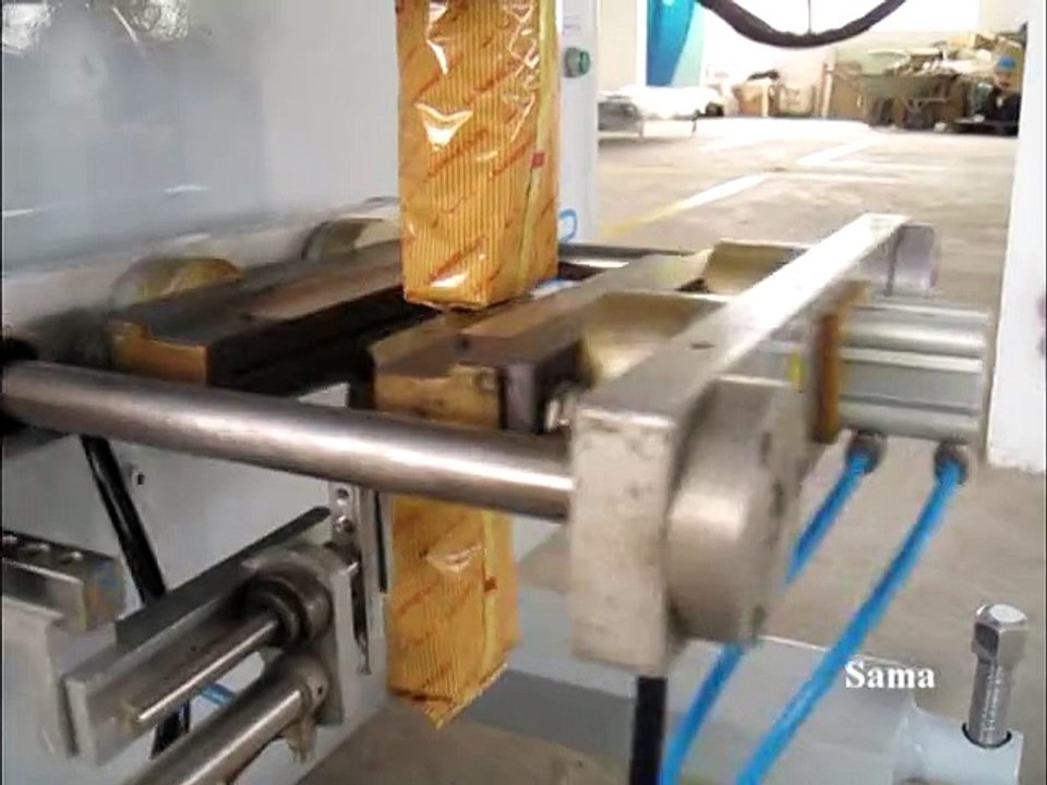 Tea Packing Machine - E 100 V (Rozy Tea) | Sama Engineering