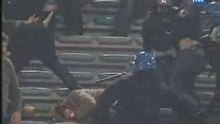 Crowd Fights