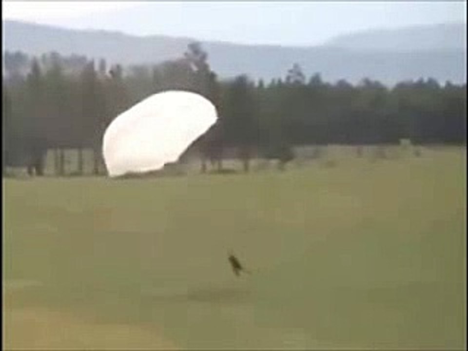 Bad Luck For This Guy Flying With )