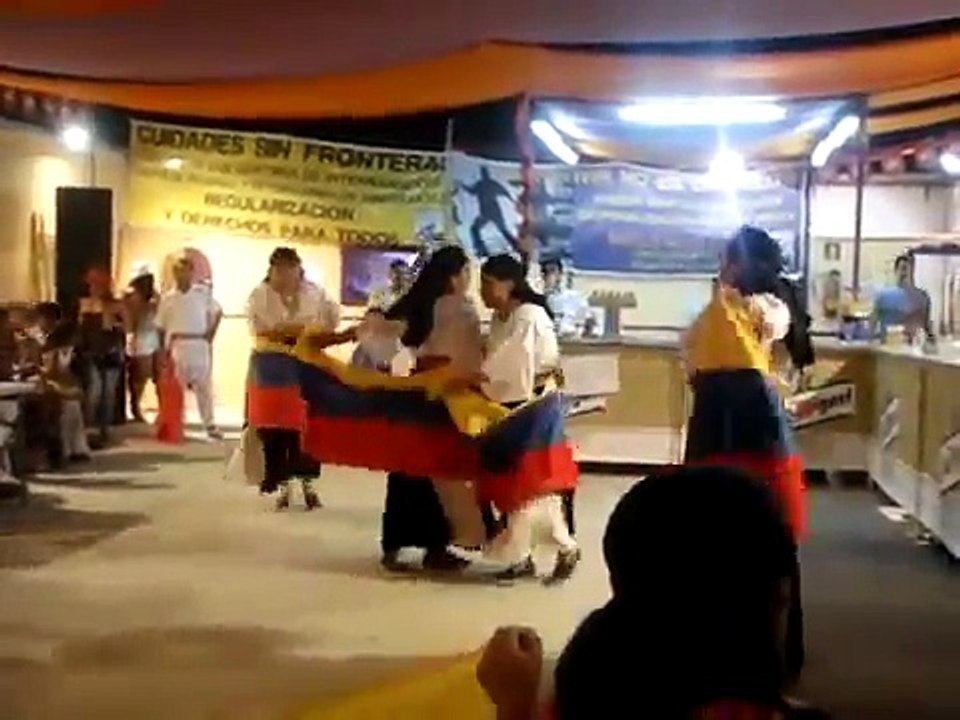BAILE DEL TORO BARROSO