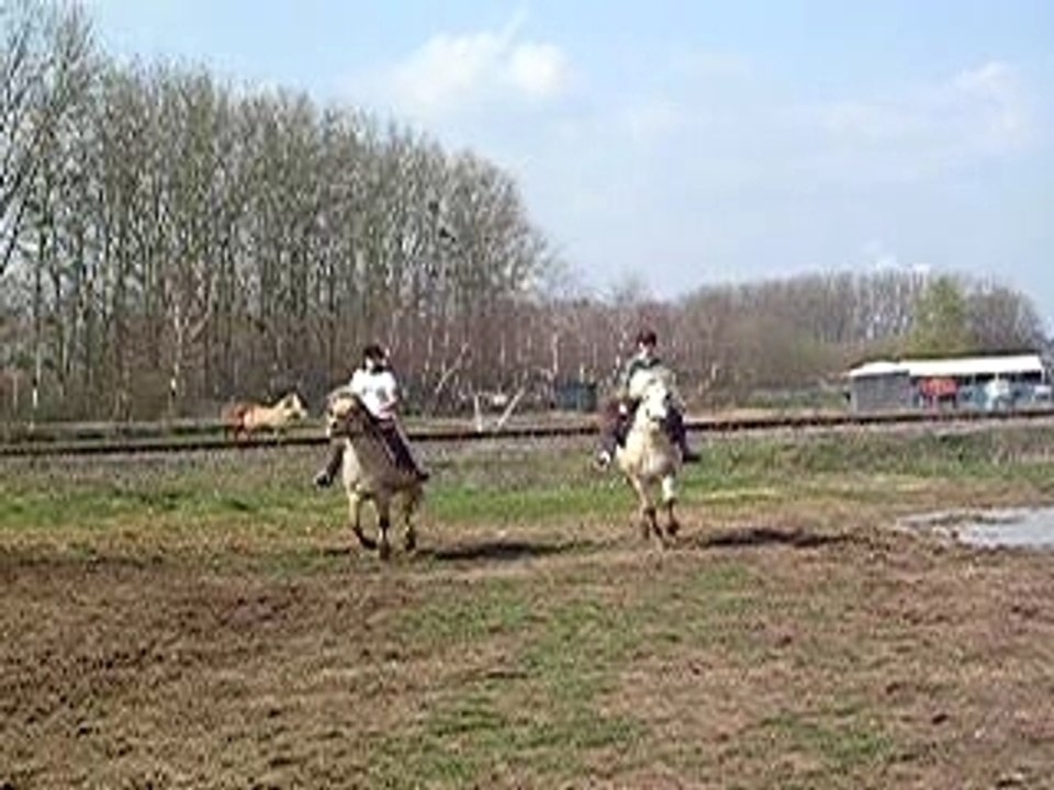 DSCN6653