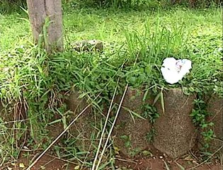 Jornal Local - afogamento Lago