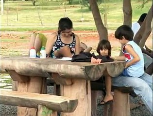 Jornal Local: Troncos reaproveitáveis