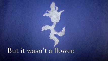 It Looked Like Spilt Milk