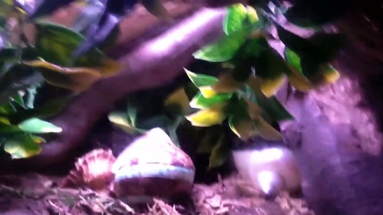 What's going on?