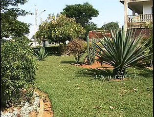 Jornal Local - Violência no Plano