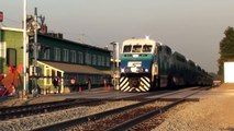 Regularly scheduled Sounder trains to Lakewood.