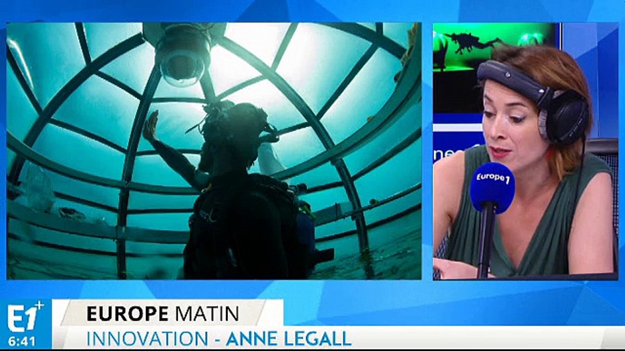 Faire pousser du basilic au fond de la mer