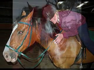 Millie's 3 year Anniversary