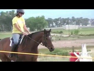 Jumping Bitless, Improvement due to Bitless Bridle