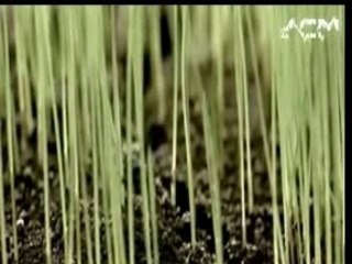 Linkin Park - What I've done