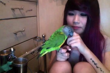 Follow me on Facebook! (ft. Lucky the Senegal parrot)