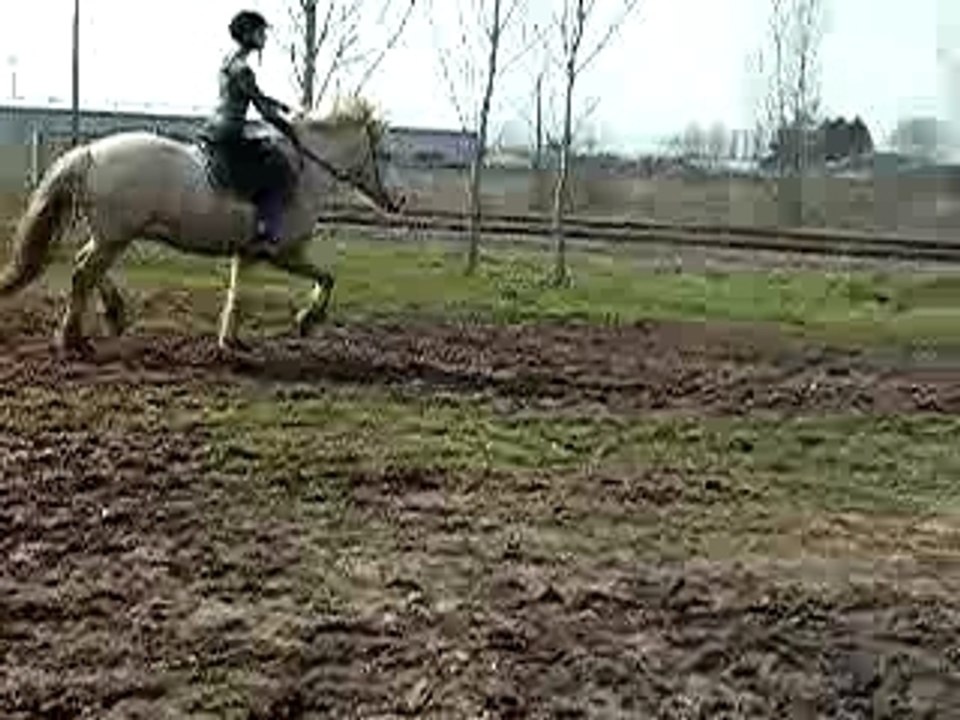 DSCN6650
