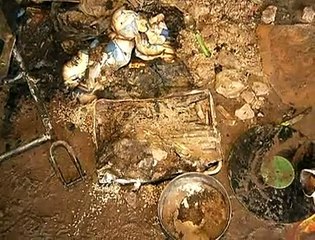 Jornal local: Assalto Gama