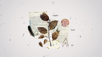 Discover What Language Truly Means to You 🗣️