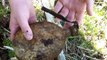 Kar98 rifle - WWII Relic Hunting & Metal Detecting Hidden WW2 Treasures Eastern Front Ep. 2 HD