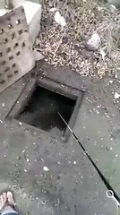 I thought an old boot or car parts or something else but didn't think a fish was coming out
