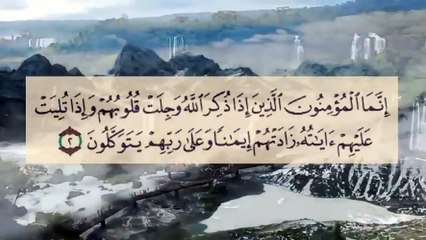 بكائ الشيخ منصور السالمي جدا